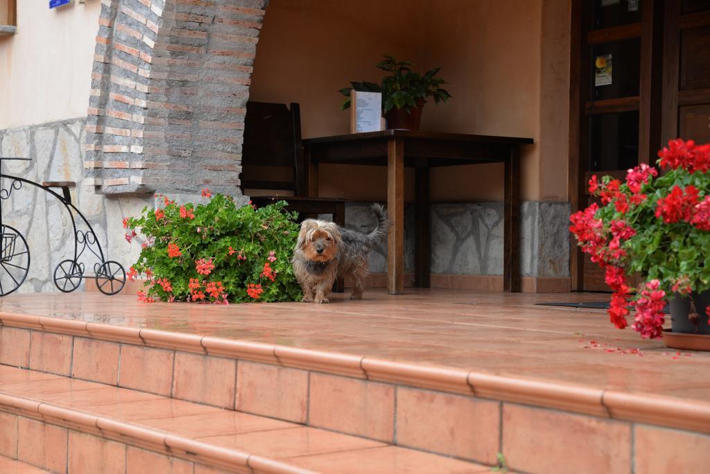 Agroturismo Ordaola Alonsotegi Esterno foto